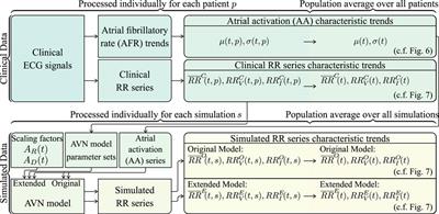 An atrioventricular node model incorporating autonomic tone